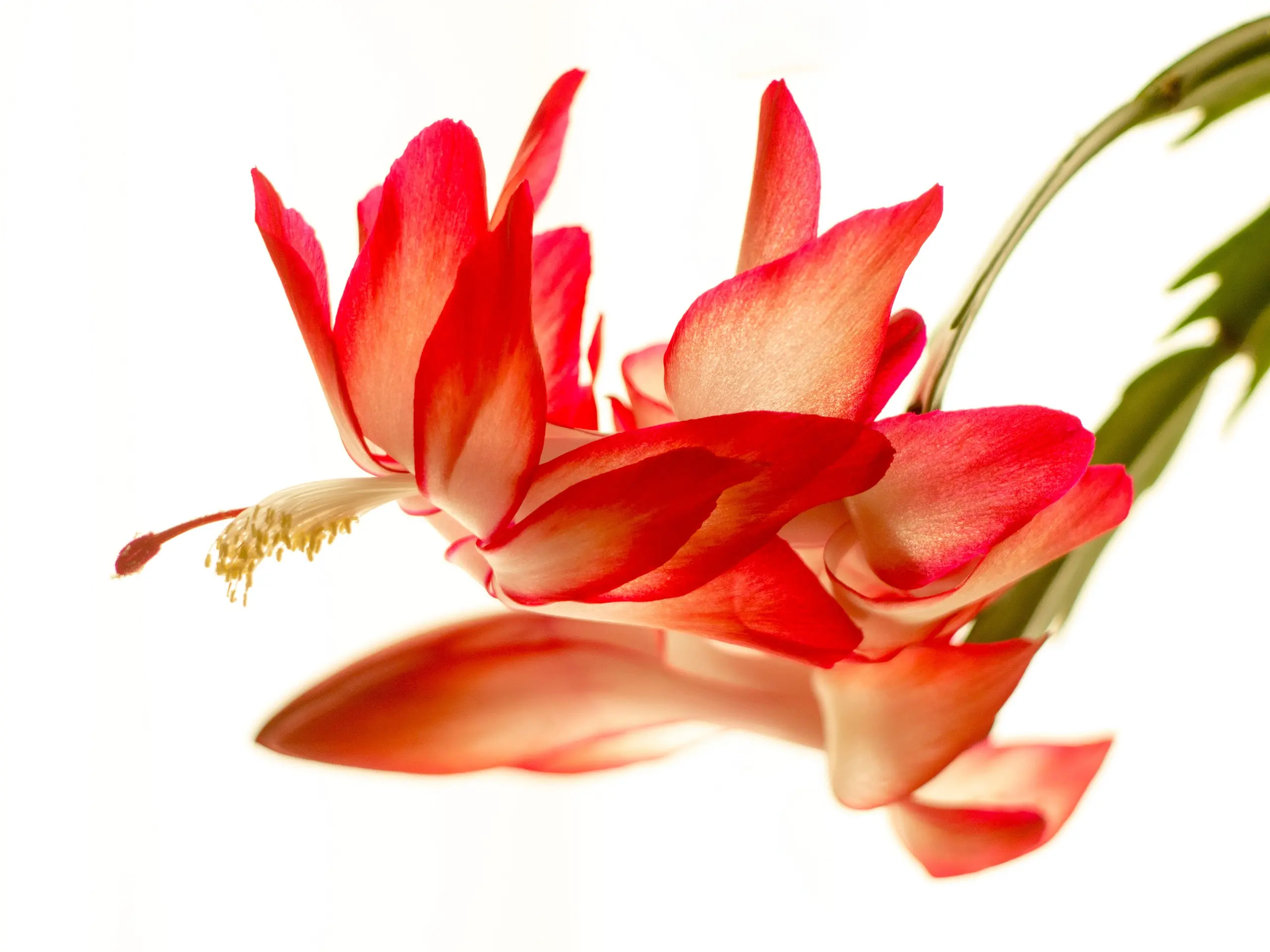 Bild 080